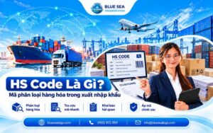 HS Code là gì? Cách tra cứu mã HS cho hàng hóa xuât khẩu