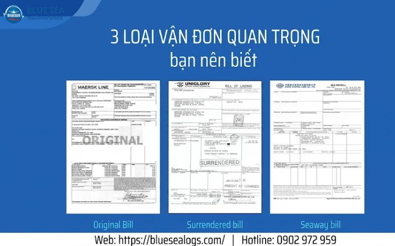 các loại vận đơn đường biển trong xuất nhập khẩu Seaway Bill, Surrender B/L, Clean B/L.