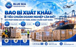 Bao bì xuất khẩu: 8 tiêu chuẩn doanh nghiệp cần biết