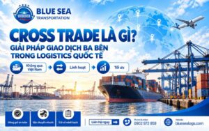 Cross Trade là gì? Quy trình, Chứng từ và Switch B/L