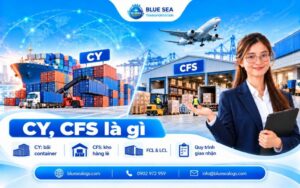 CY và CFS là gì? Cách phân biệt và hình thức giao nhận