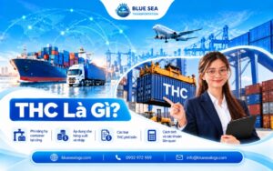 THC Fee là gì? Terminal Handling Charge và ai chịu phí THC?