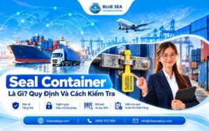 Seal container là gì? Các Loại Seal container phổ biến