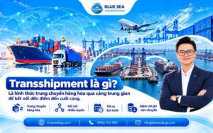 Transshipment là gì? Khi nào cần chuyển tải hàng hóa?