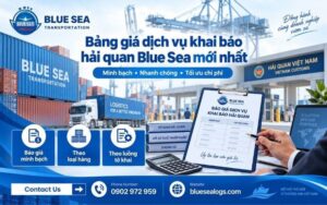 Bảng giá dịch vụ khai báo hải quan trọn gói mới nhất tại Blue Sea Logistics