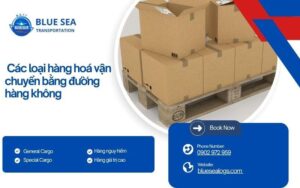 Các loại hàng hóa vận chuyển bằng đường hàng không 