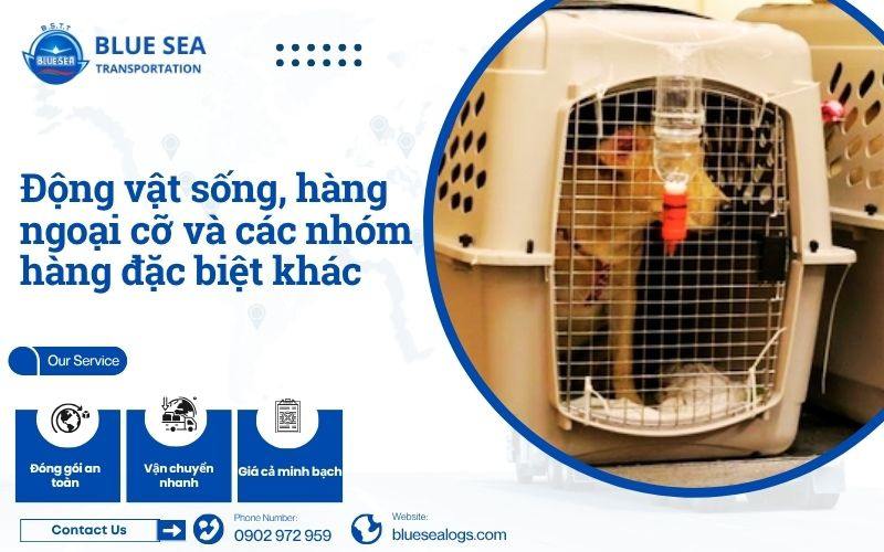 Vận chuyển hàng không cho Động vật sống, hàng ngoại cỡ