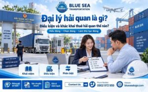 Đại lý hải quan và khai thuê hải quan khác nhau thế nào?