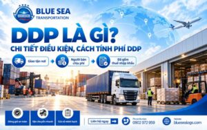 DDP là gì? Chi tiết điều kiện, cách tính phí DDP