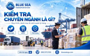 Khái niệm kiểm tra chuyên ngành hàng hóa xuất nhập khẩu tại chi cục kiểm định