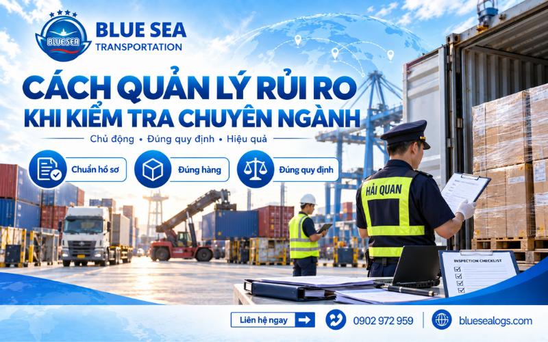 Doanh nghiệp chủ động tra cứu mã HS và hồ sơ để giảm thiểu rủi ro kiểm tra chuyên ngành
