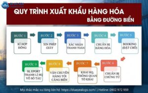 12 Quy trình vận chuyển đường biển quốc tế: Từ booking đến nhận hàng