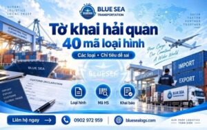 Tờ khai hải quan là gì? Các loại, 40 mã loại hình và những chỉ tiêu dễ sai