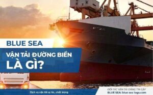 Vận tải đường biển là gì? Quy trình và chi phí, rủi ro
