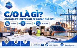 C/O là gì? Các loại Certificate of Origin phổ biến