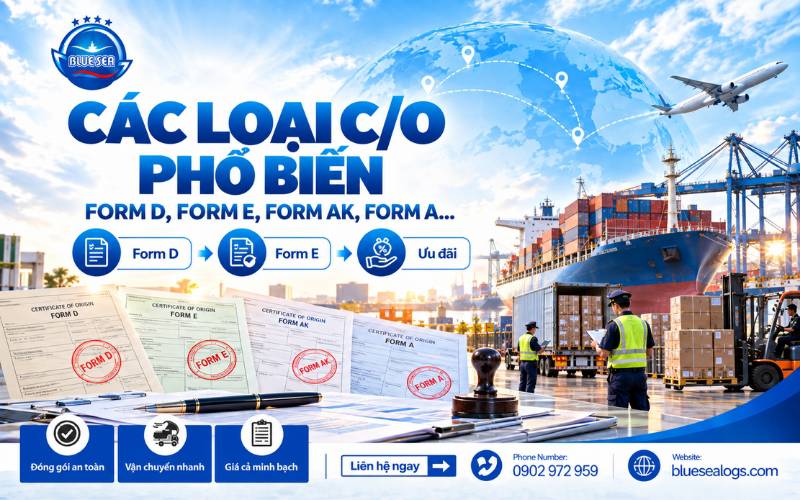 Các loại C/O phổ biến như mẫu D, E, AK, EUR.1 và C/O không ưu đãi mẫu