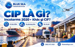 CIP Là Gì? Điều Kiện CIP Incoterms 2020