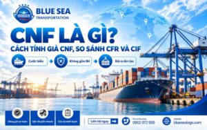 CNF là gì? Cách Tính Giá CNF, so sánh CFR và CIF