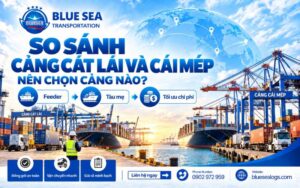 So sánh cảng Cát Lái và Cái Mép: Nên chọn cảng nào?